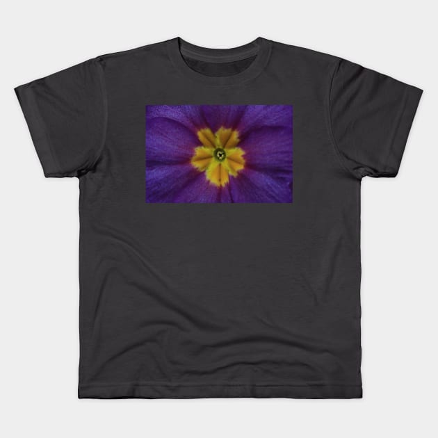 Purple Blue Primula Kids T-Shirt by OVP Art&Design